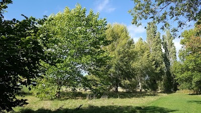 Wildlife Attractions In Worcester UK 1 laugherne brook local nature reserve